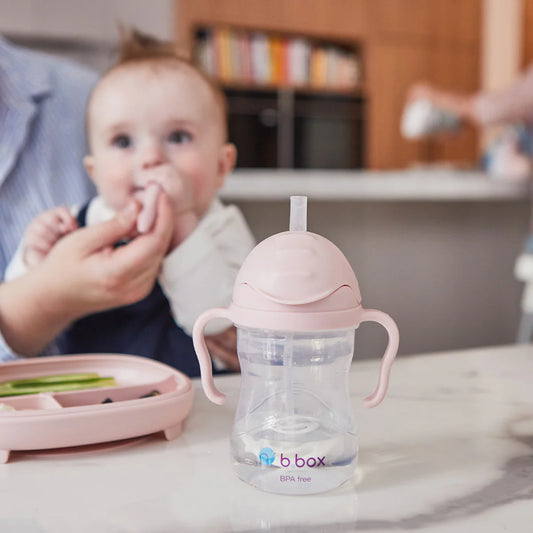Sippy Cup 240ml - Blush