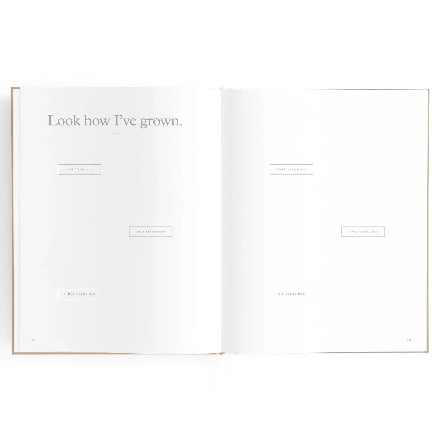 Baby Journal 3rd Edition - Biscuit