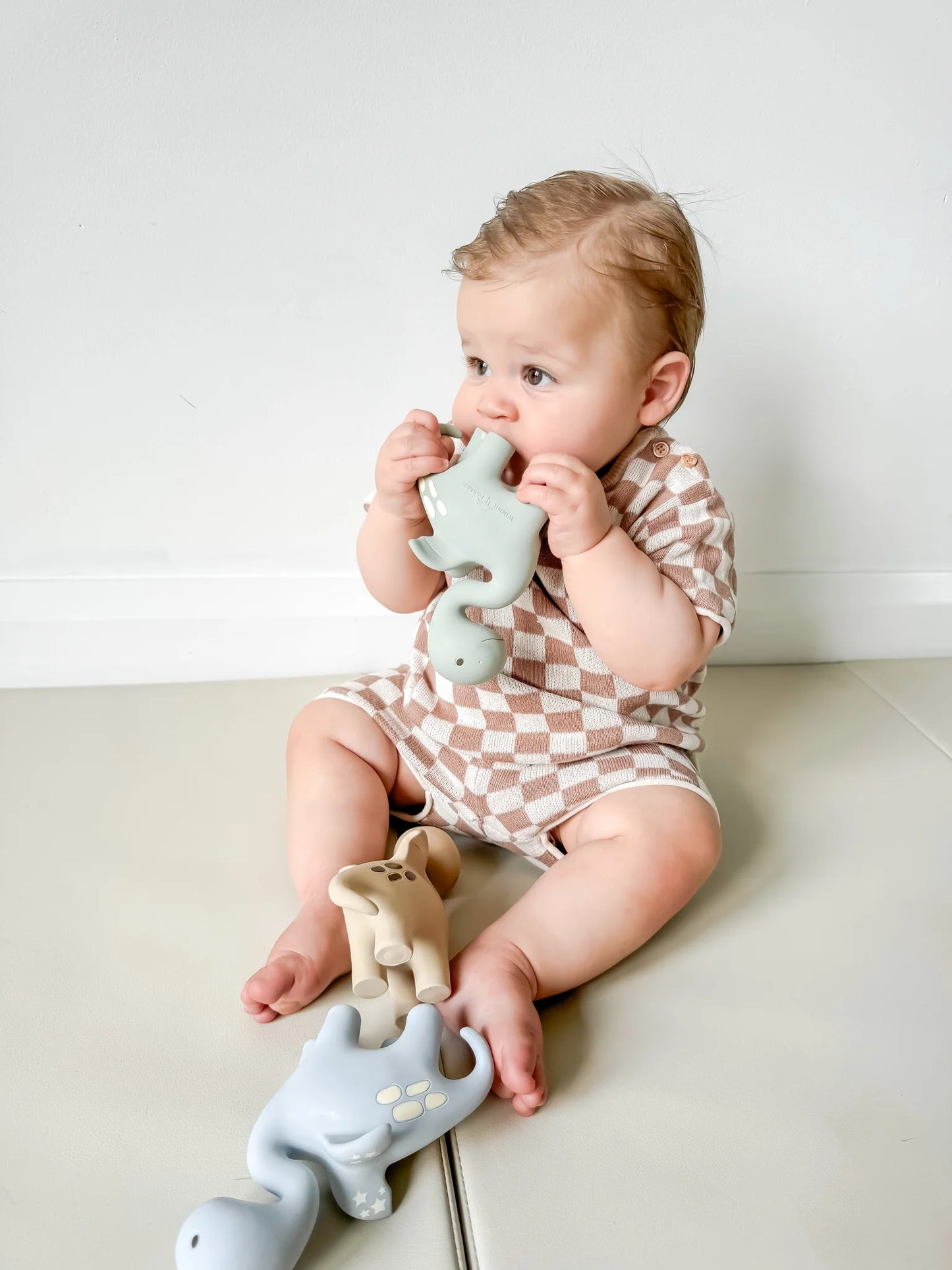 Diplo the Dino-Dragon Rubber Teether - Sage