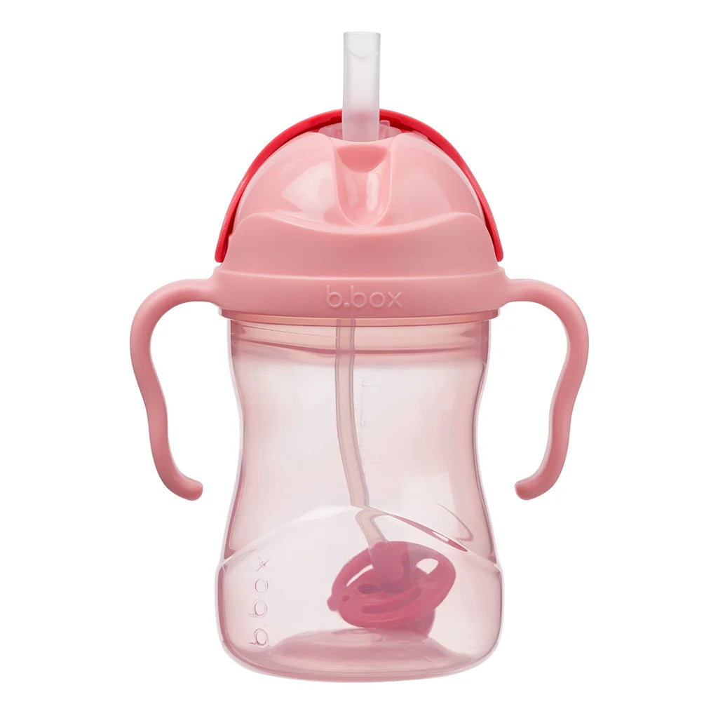 Sippy Cup 240ml - Sweet Ruby