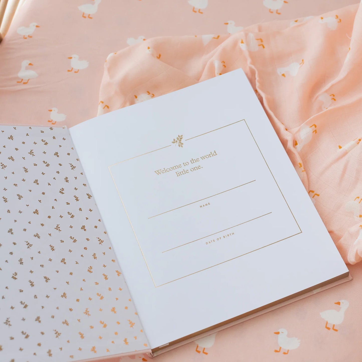 Baby Journal 3rd Edition - Pink Ducks
