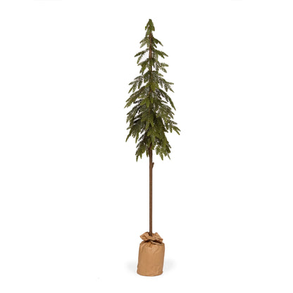 Potted Nordic Pine Tree 143cm