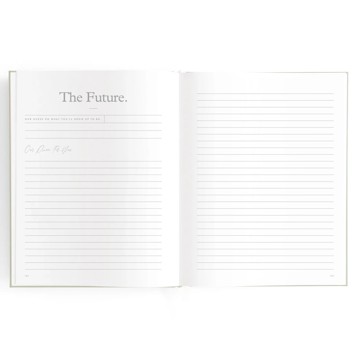 Baby Journal 3rd Edition - Blue Ducks