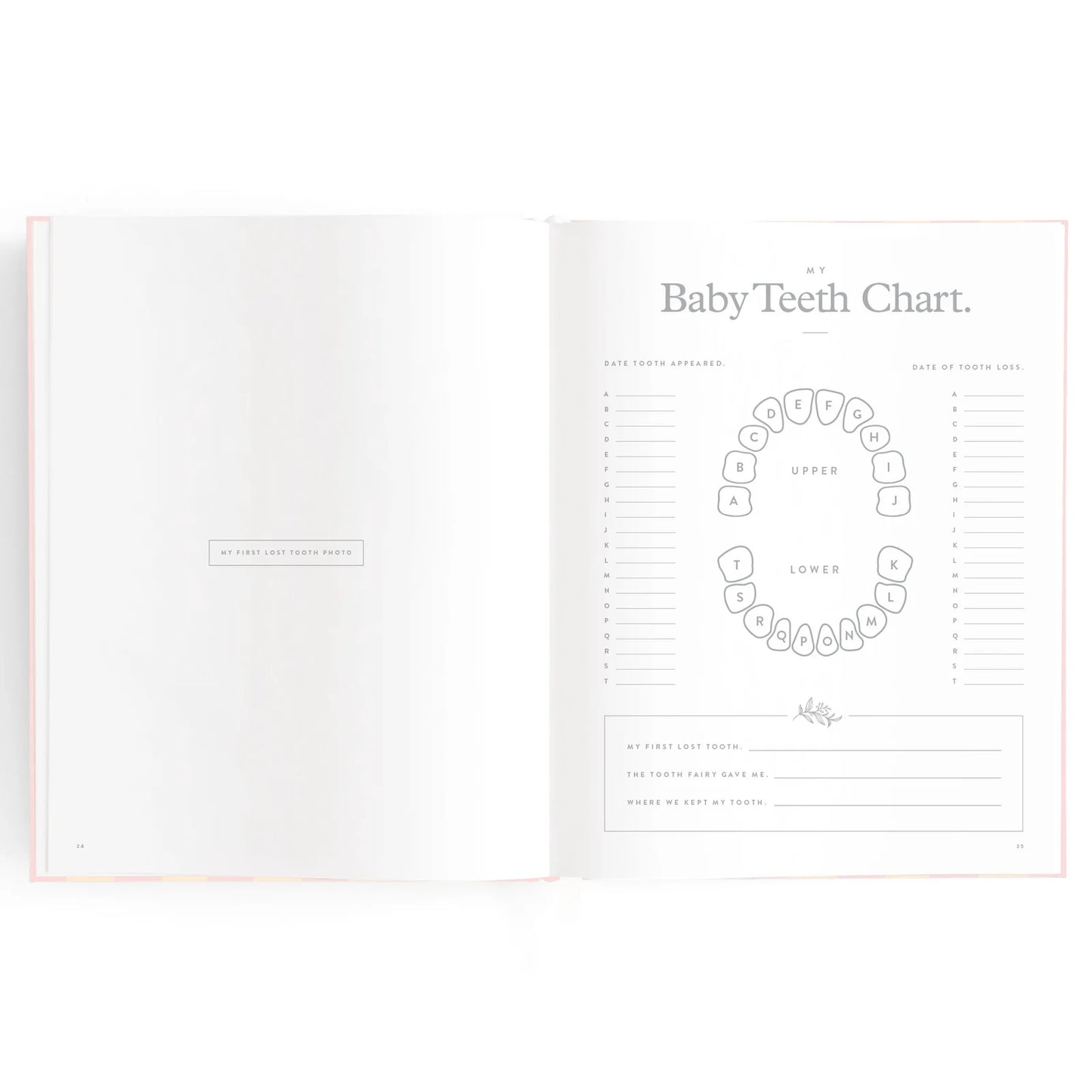 Baby Journal 3rd Edition - Pink Ducks