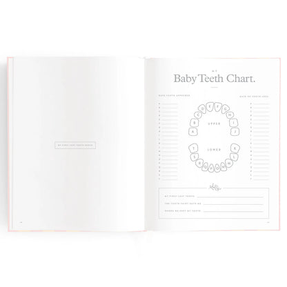 Baby Journal 3rd Edition - Pink Ducks