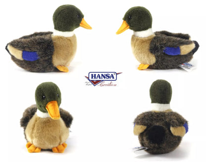 Baby Duck Plush
