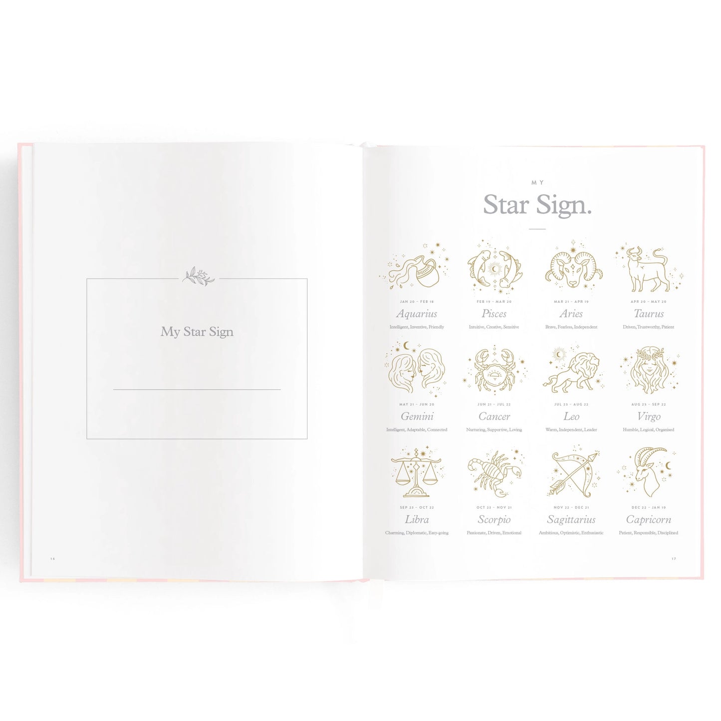 Baby Journal - Petal Stripe