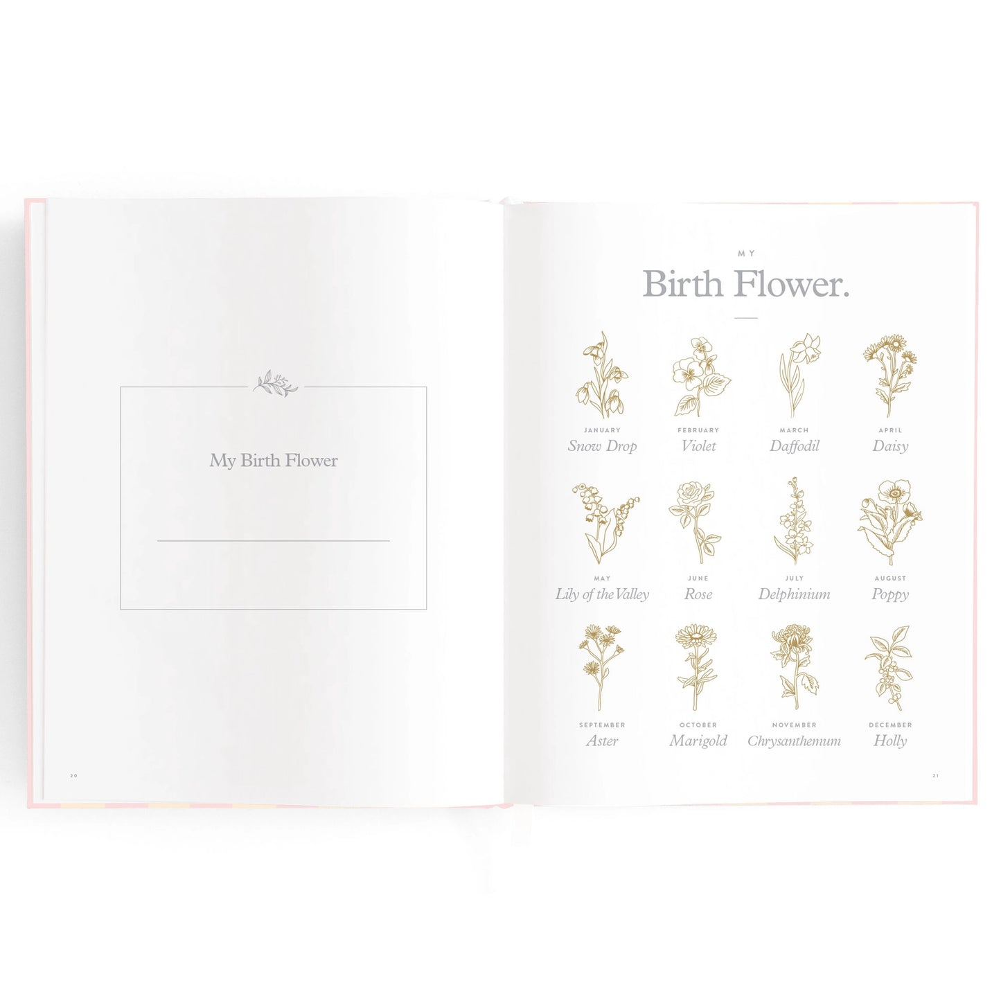 Baby Journal - Petal Stripe