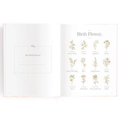 Baby Journal - Petal Stripe