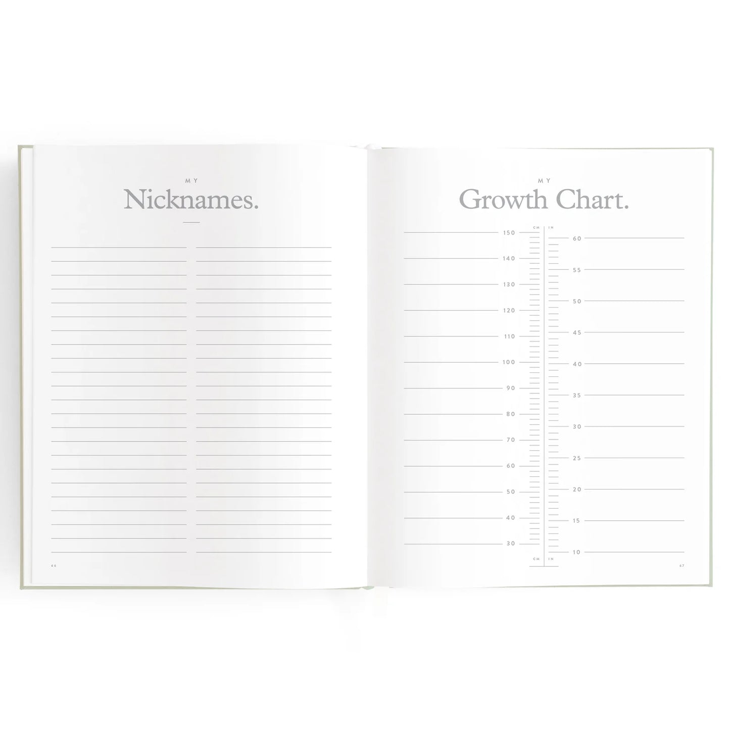 Baby Journal 3rd Edition - Blue Ducks