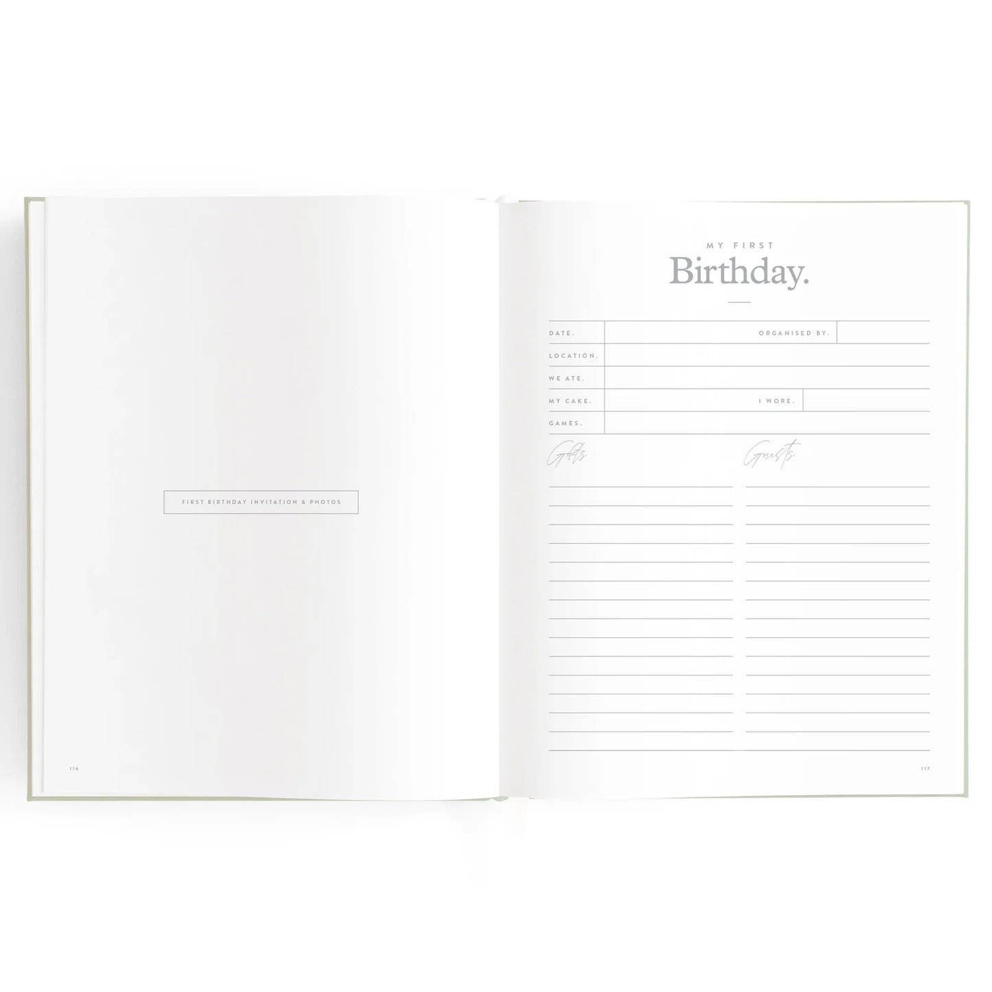 Baby Journal 3rd Edition - Blue Ducks
