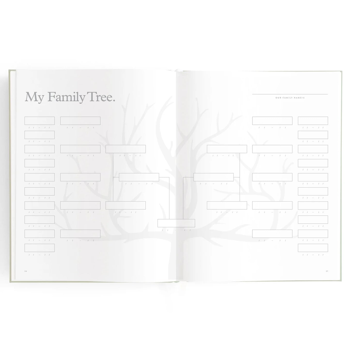 Baby Journal 3rd Edition - Blue Ducks