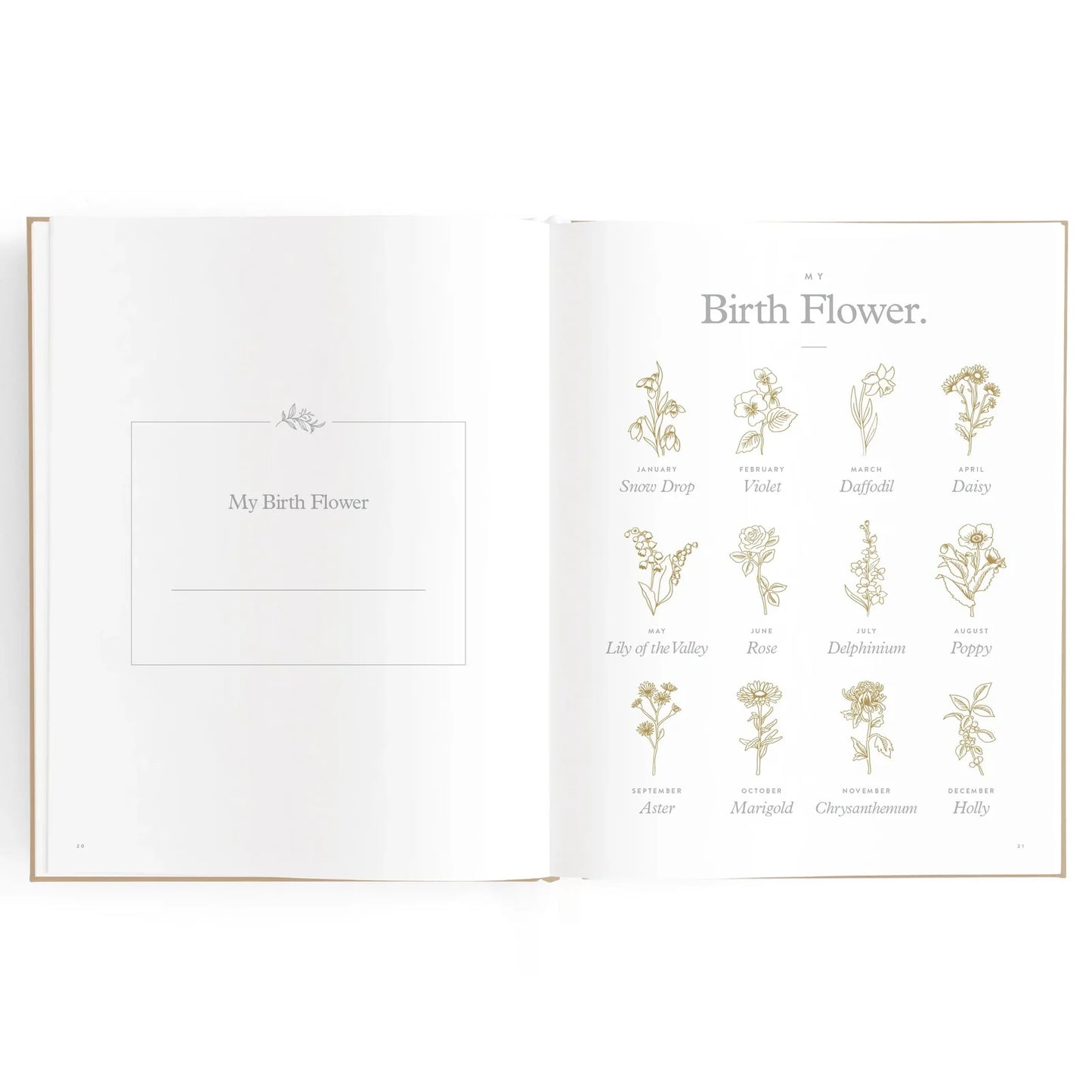 Baby Journal 3rd Edition - Biscuit