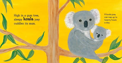 Australian Baby Animals Boardbook