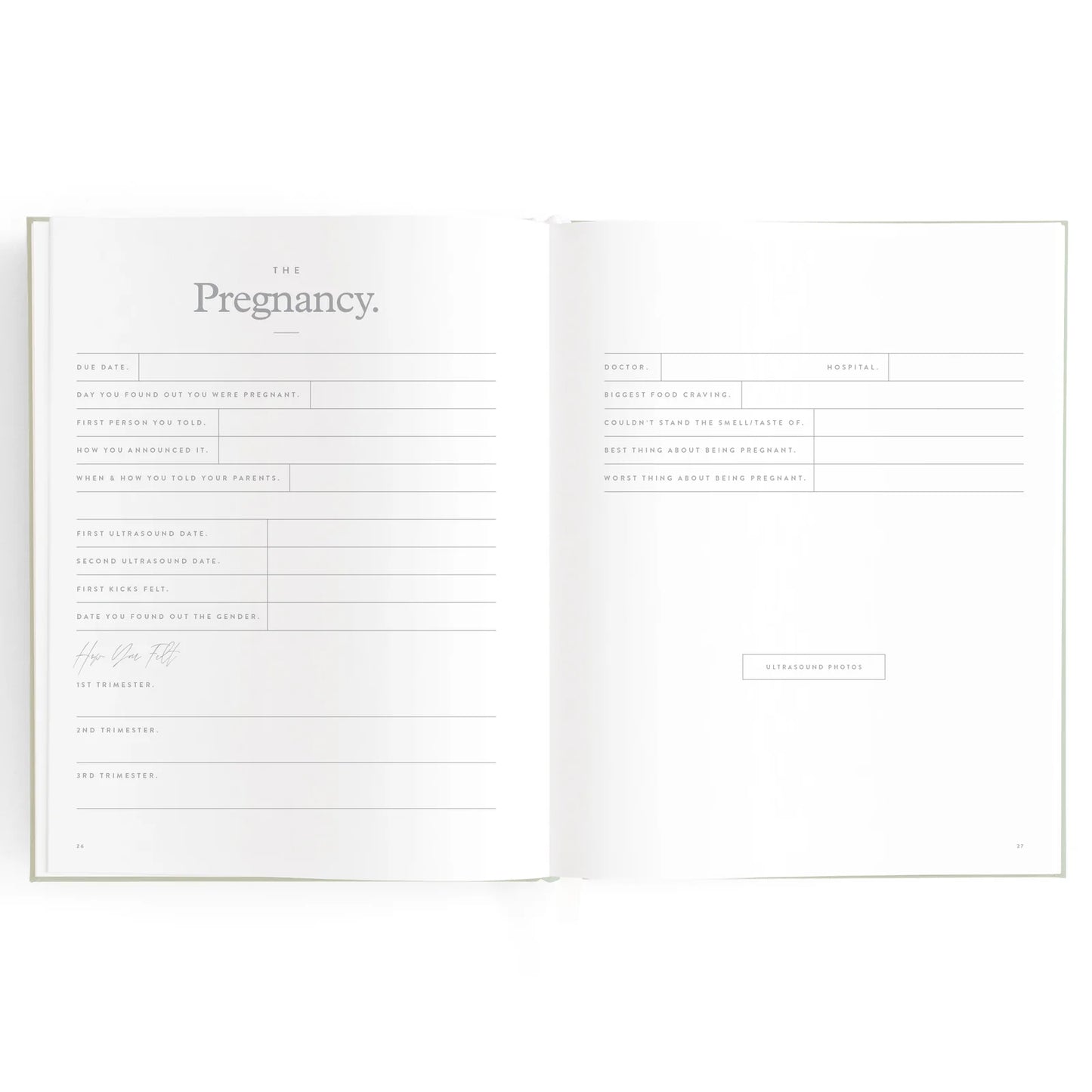 Baby Journal 3rd Edition - Blue Ducks