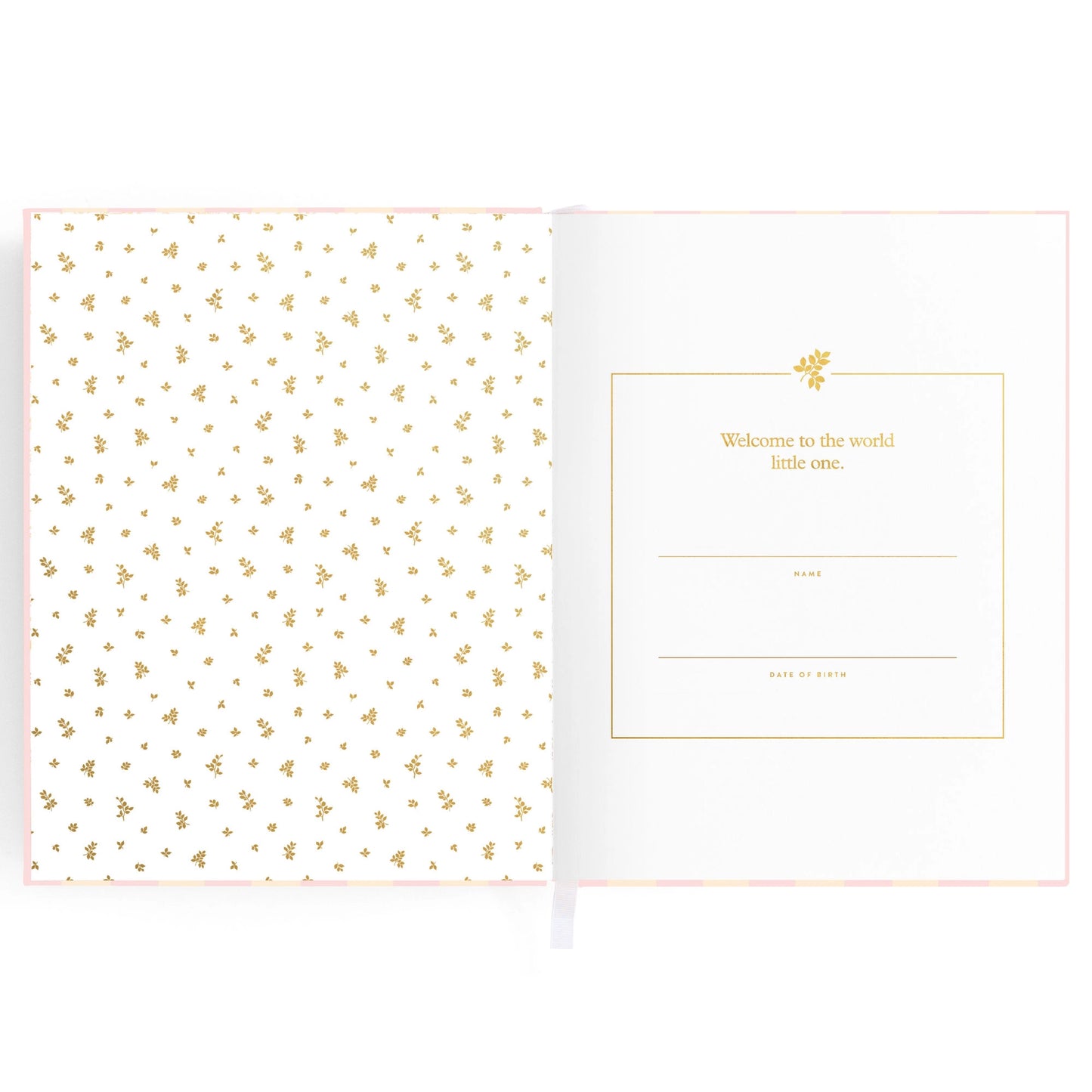 Baby Journal - Petal Stripe