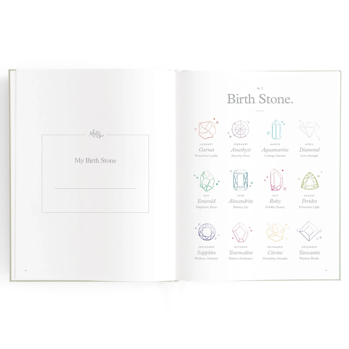 Baby Journal 3rd Edition - Blue Ducks