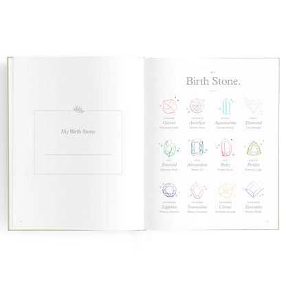 Baby Journal 3rd Edition - Blue Ducks
