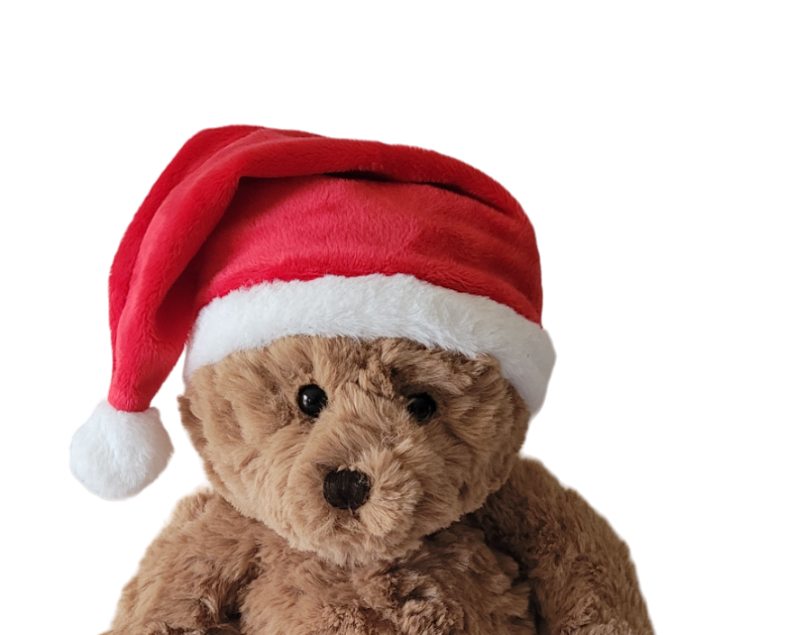 Christmas Hat for Teddies