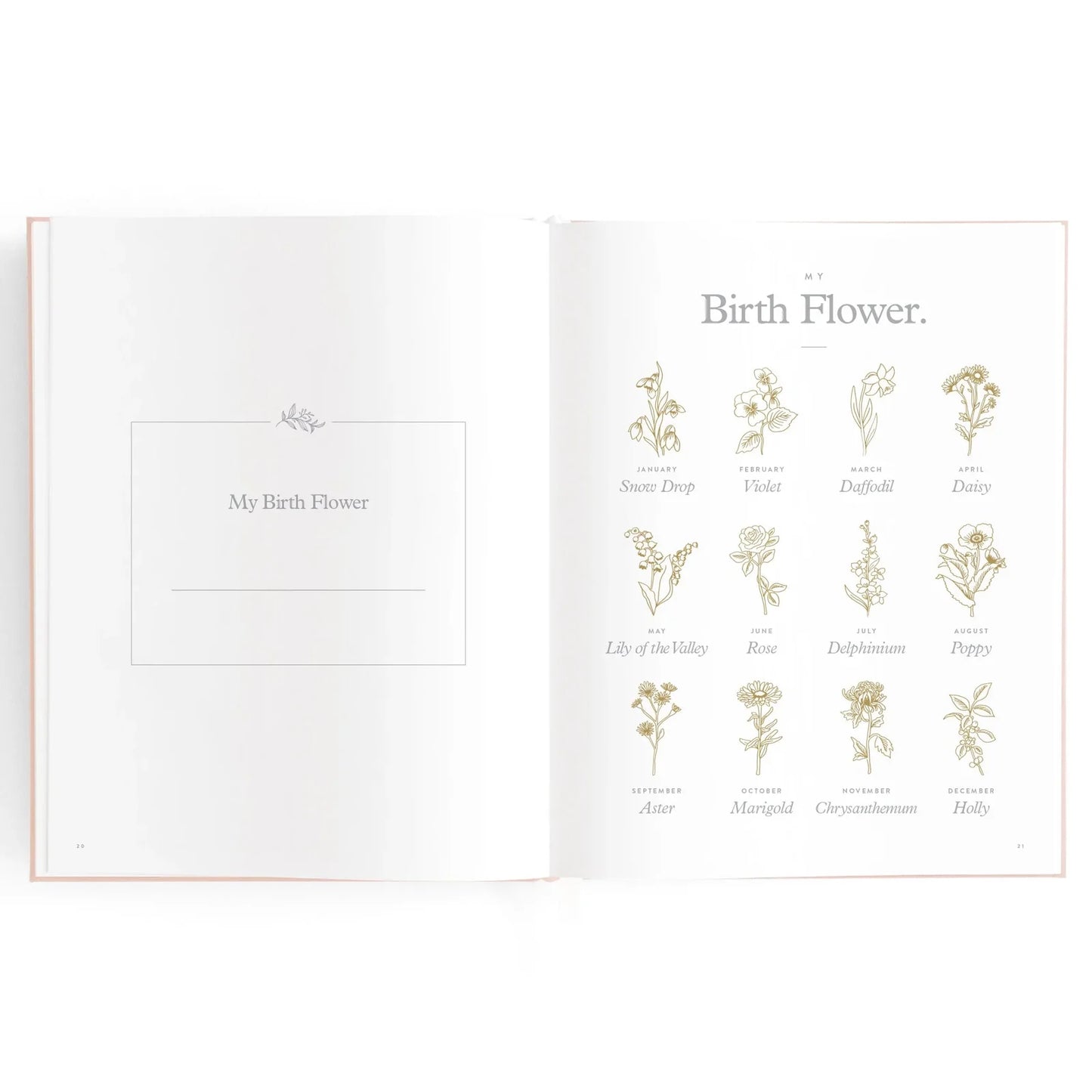 Baby Journal 3rd Edition - Rose