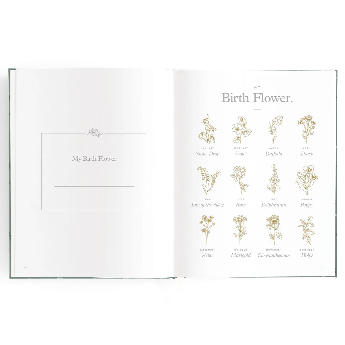 Baby Journal 3rd Edition - Pine