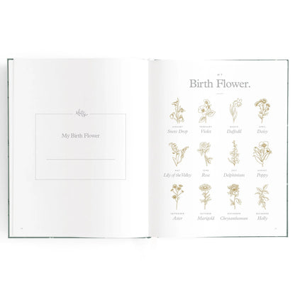 Baby Journal 3rd Edition - Pine