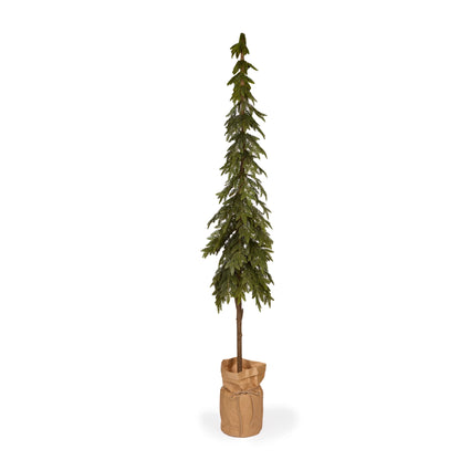 Potted Nordic Pine Tree 206cm