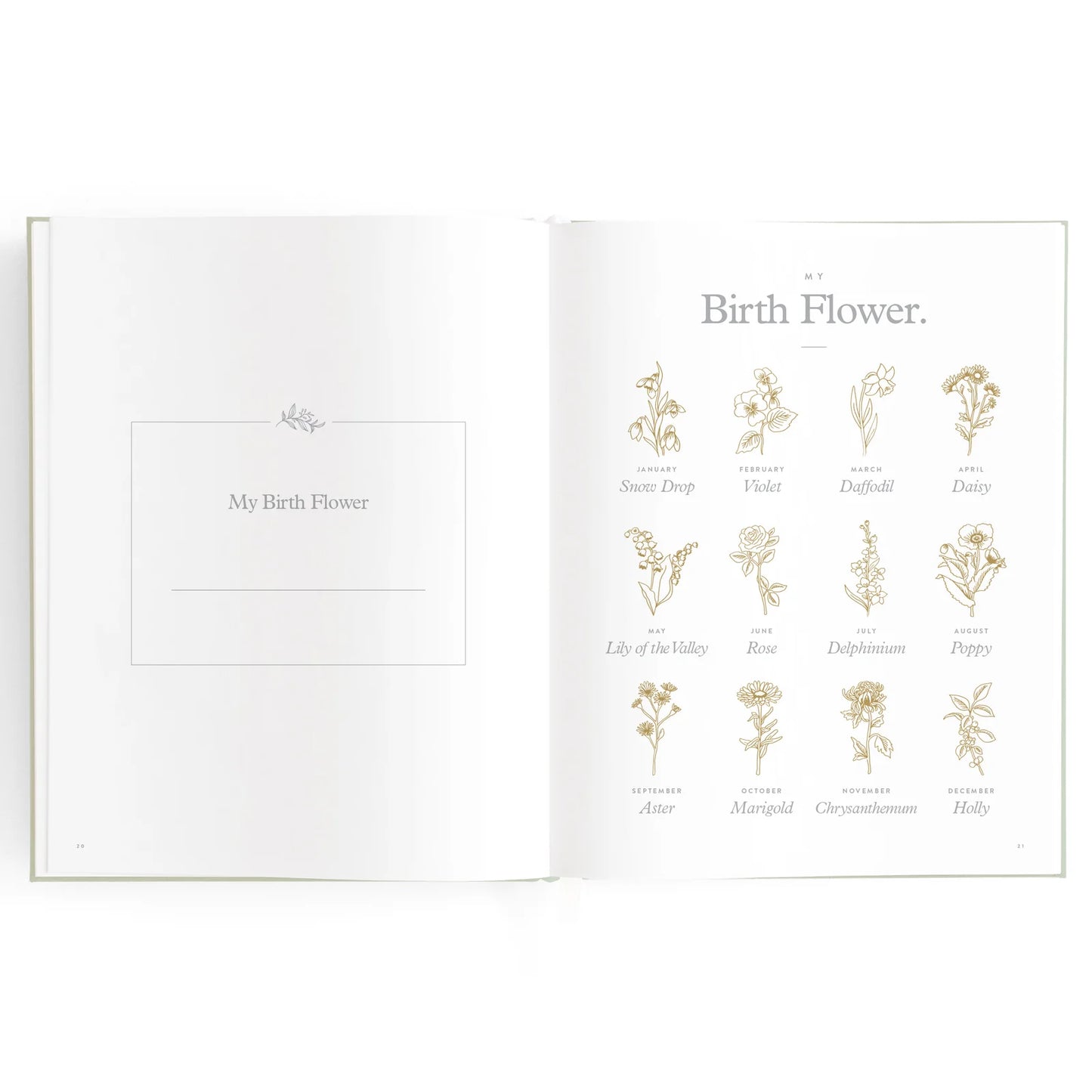 Baby Journal 3rd Edition - Blue Ducks