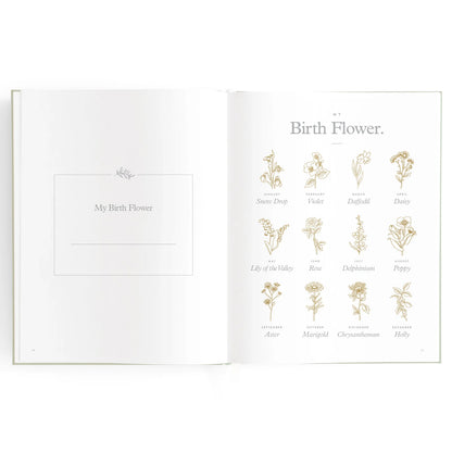 Baby Journal 3rd Edition - Blue Ducks