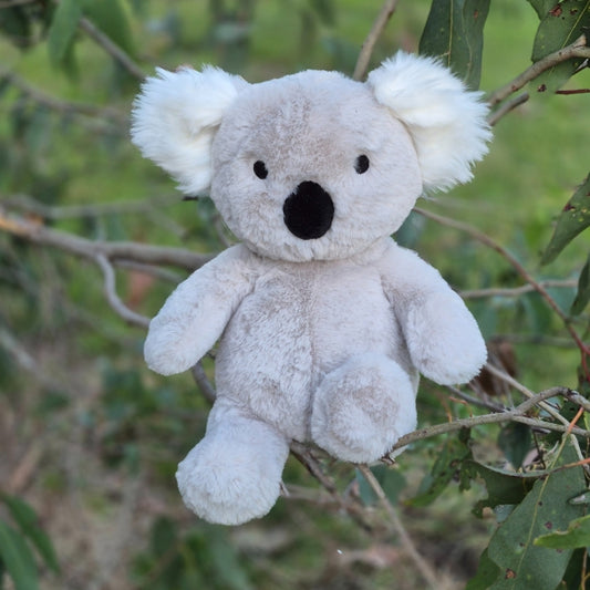 Sidney the Koala