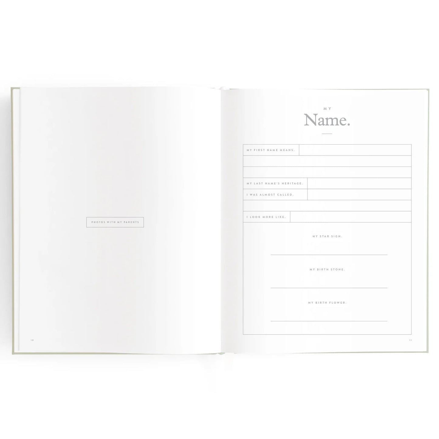 Baby Journal 3rd Edition - Blue Ducks