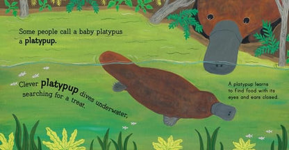 Australian Baby Animals Boardbook