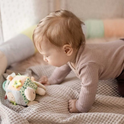 Activity Sensory Turtle