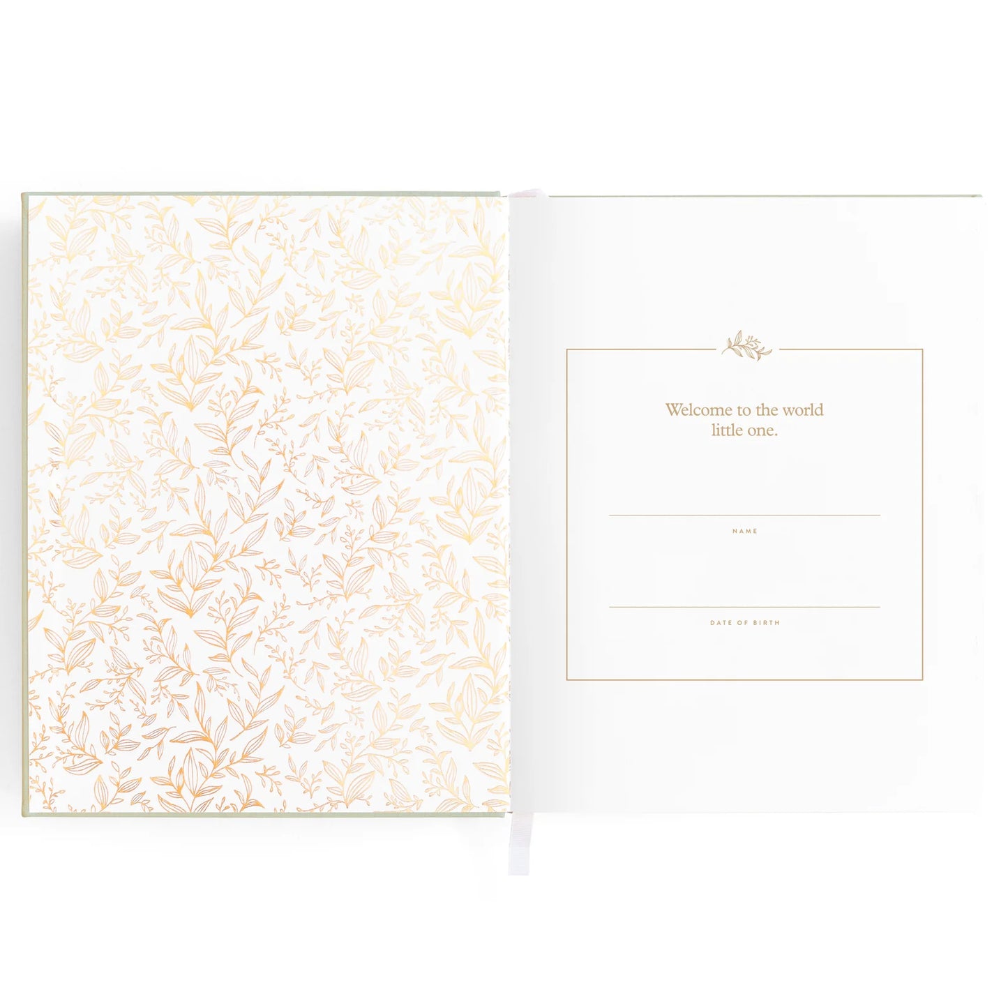 Baby Journal 3rd Edition - Blue Ducks