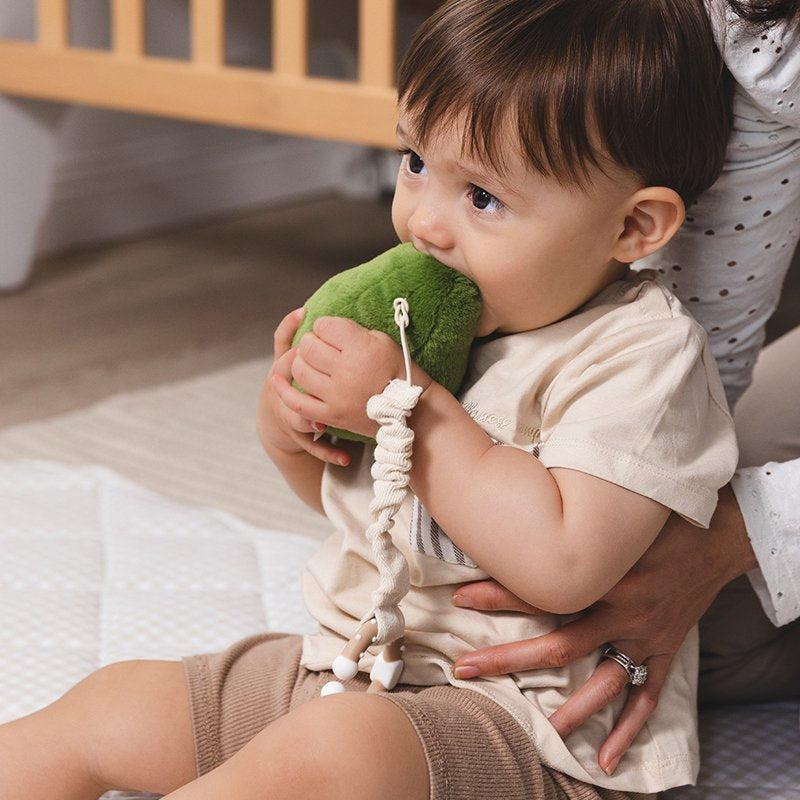 Stroller Toys 2pk - Avocado & Egg on Toast