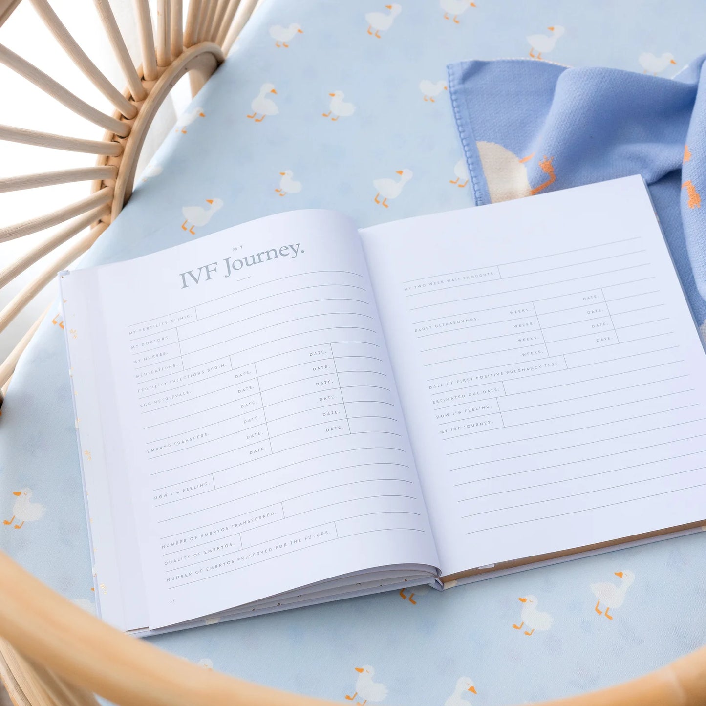Baby Journal 3rd Edition - Blue Ducks