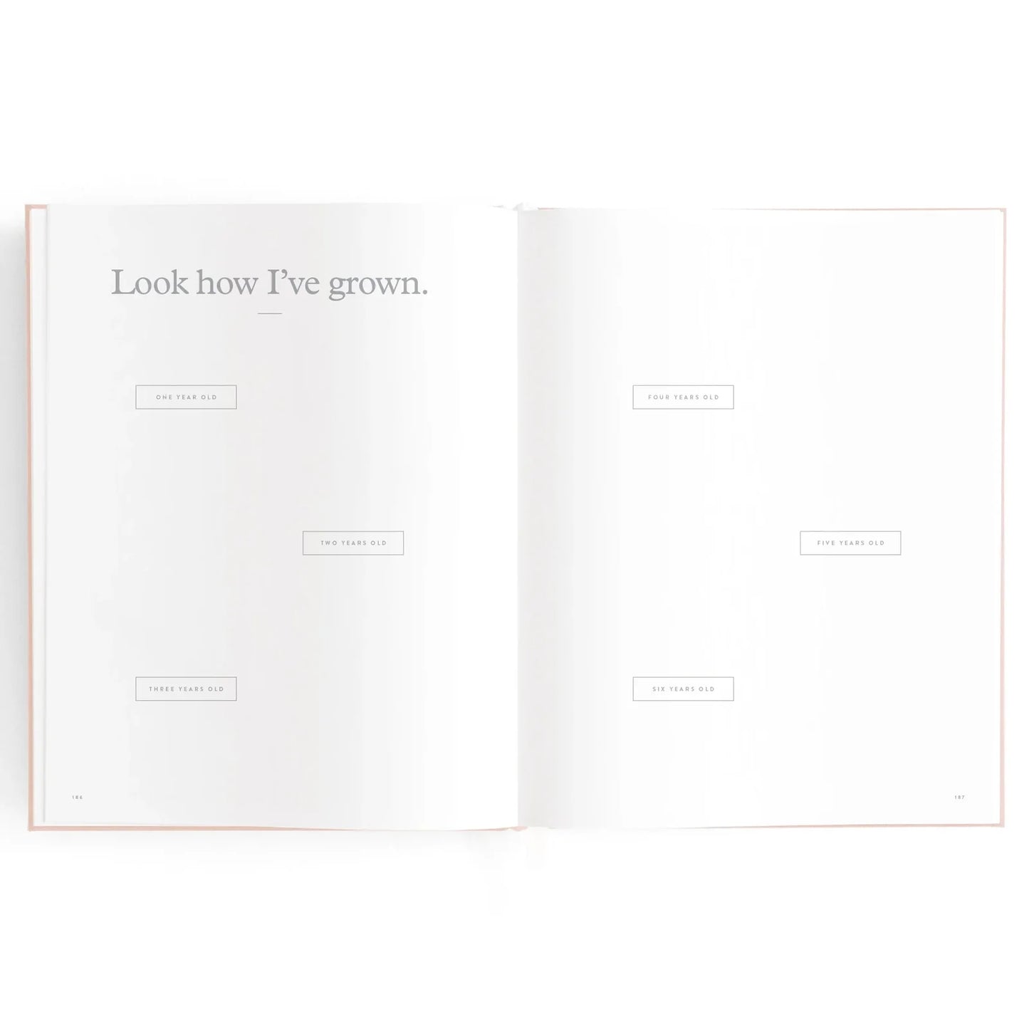 Baby Journal 3rd Edition - Rose