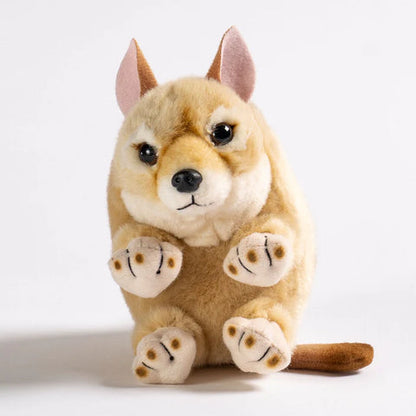 Baby Handfuls - Dingo Pup