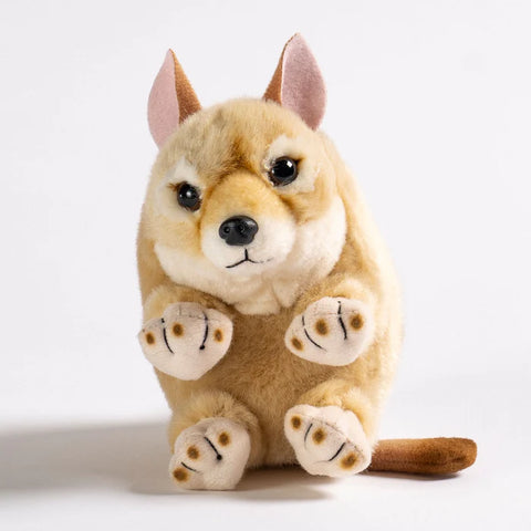 Baby Handfuls - Dingo Pup
