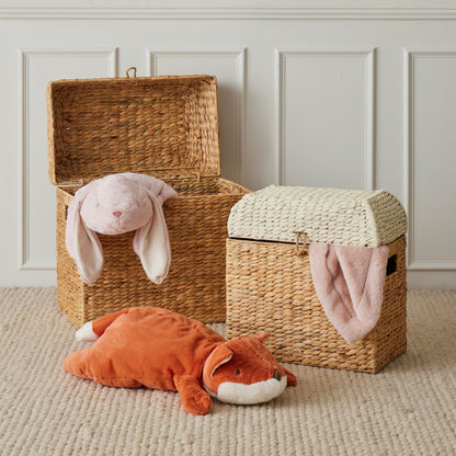 Trunk Basket Set of 2