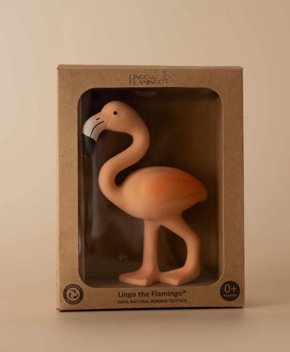 Lingo the Flamingo