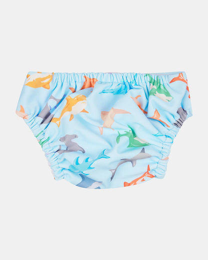 Baby Swim Nappy - Sharky