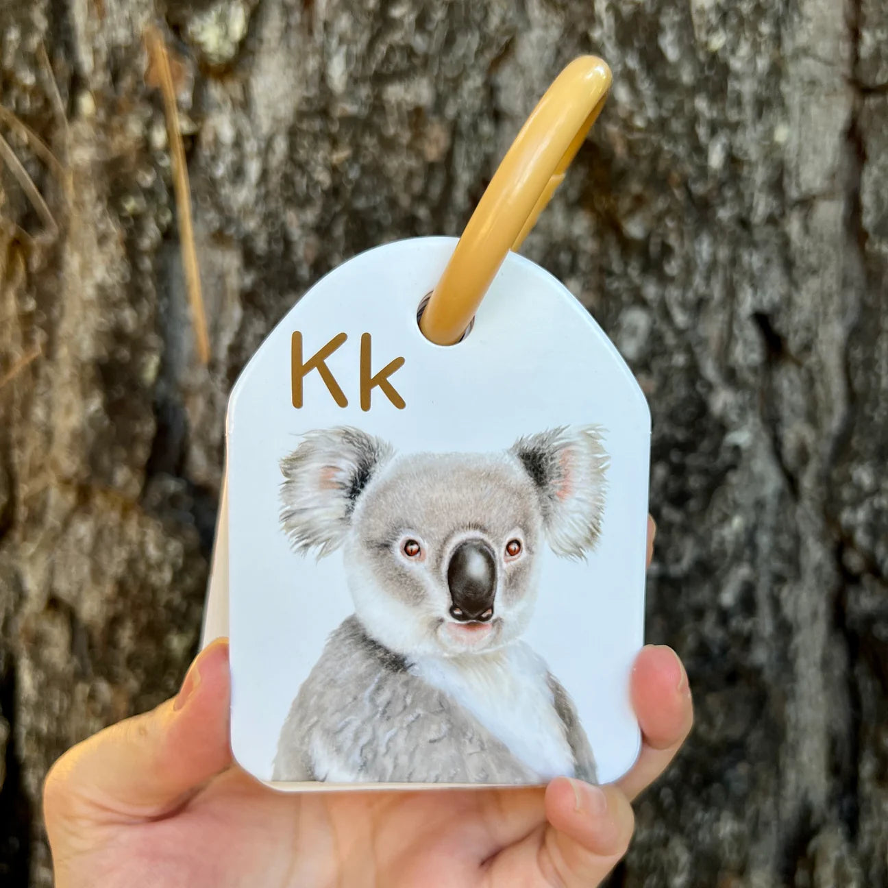 Australian Animal Alphabet Ringed Flash Cards