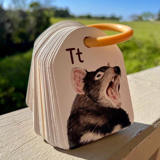Australian Animal Alphabet Ringed Flash Cards
