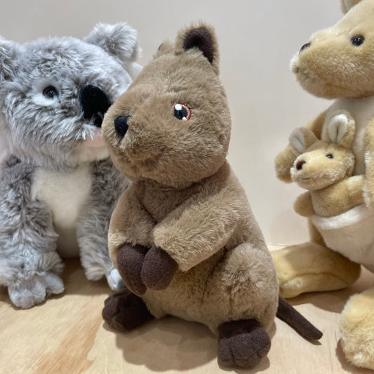 Eco-Quokka