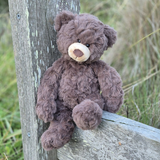 Bruno the Bear
