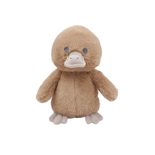 River the Platypus