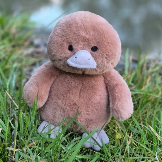 River the Platypus