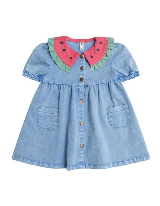 I Carried a Watermelon Denim Dress