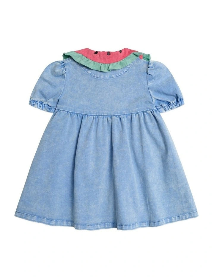 I Carried a Watermelon Denim Dress